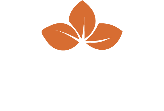 Camelia On Bainbride Island - Bainbridge Island Parks Foundation (600x417)