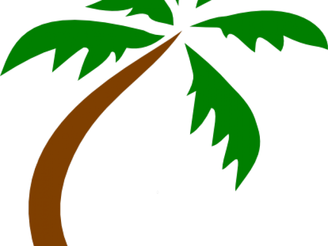 Island Clipart Transparent - Green Coconut Tree Vector Transparent (640x480)