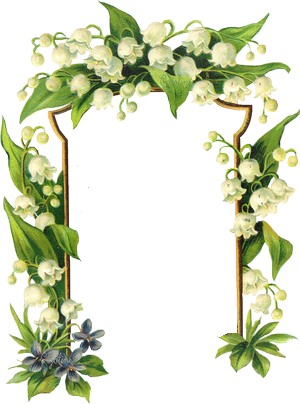 Lily Of The Valley Clipart Transparent - Lily Of The Valley Flower Frames (300x404)
