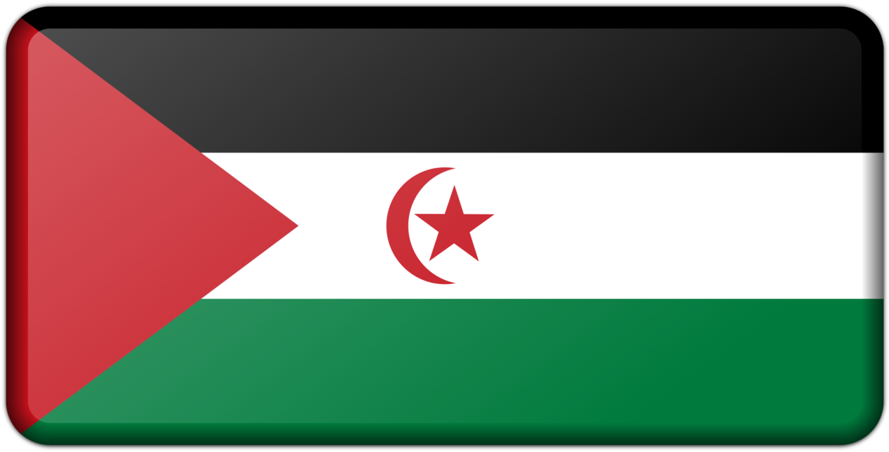 Flag Of Palestine Flag Of Western Sahara Flag Of The - Western Sahara Flag (1496x750)
