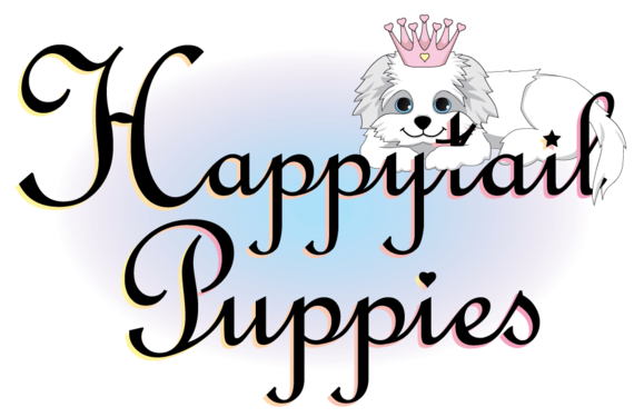 Labradoodle Puppies For Sale In North Carolina - Happy Wedding Marriage Anniversary (600x386)