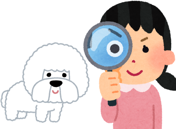 失敗しない！ ビションフリーゼの子犬の選び方 - 観察 看護 (800x600)