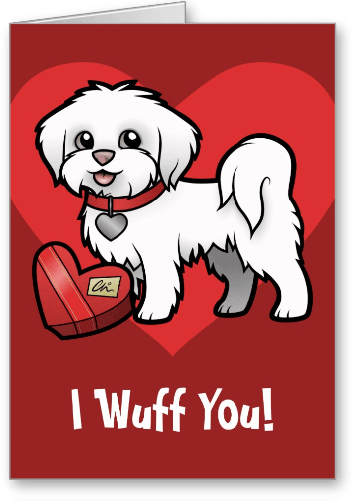 Maltese Lover Valentines Day Card - Honden Paspoorthoes I Love My Maltezer Voor Europees (1006x1006)