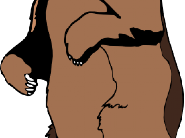 Brown Bear Clipart Standing - Grizzly Bear Standing Clipart (640x480)