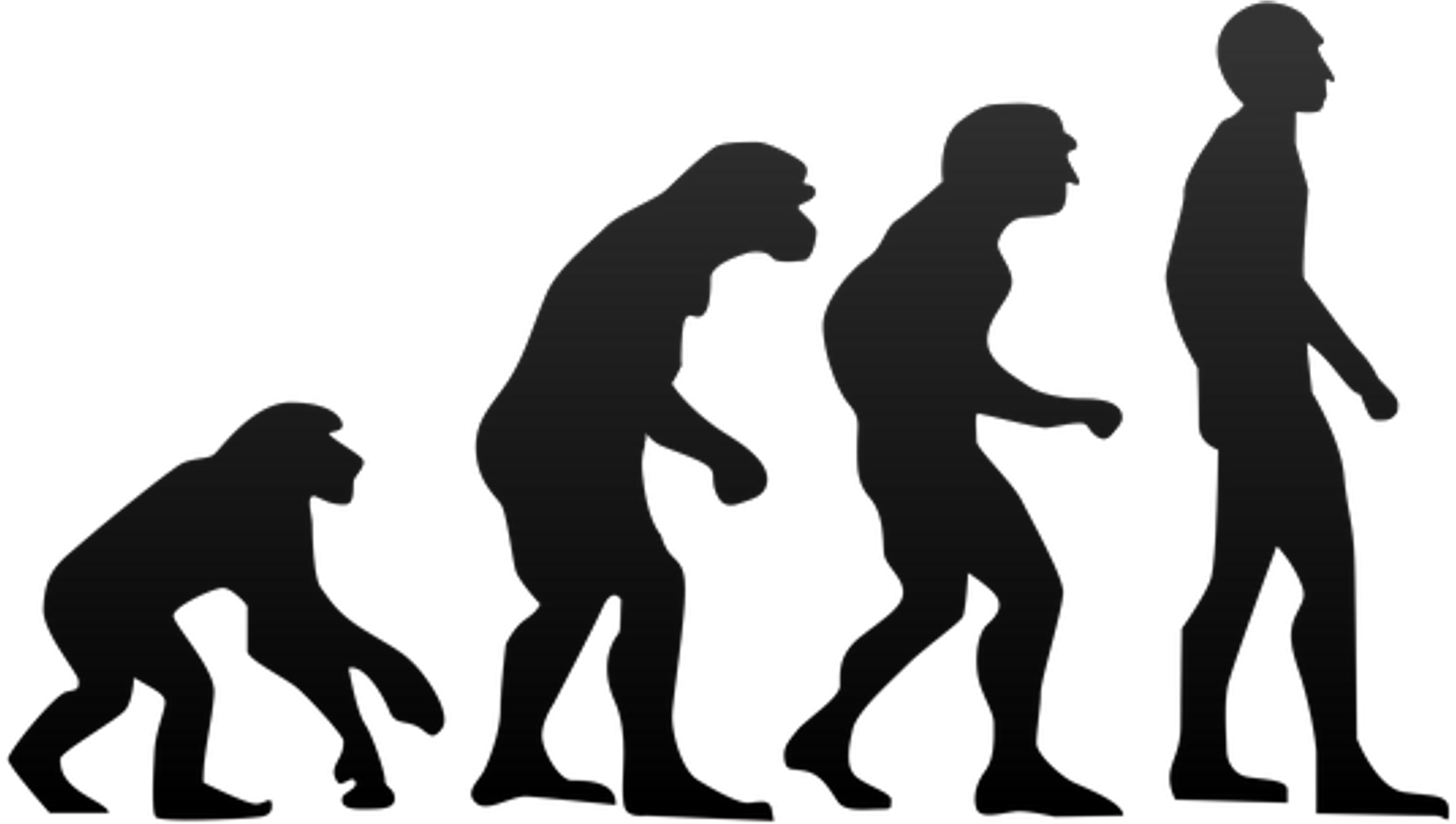 Lesson Changes Will Make - Evolution Of Humans Png (3200x1680)