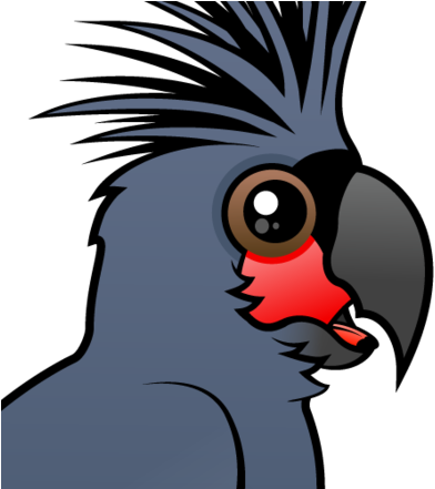 About The Palm Cockatoo - Palm Cockatoo (440x440)