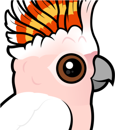 About The Pink Cockatoo - Major Mitchells Cockatoo Clipart (440x440)