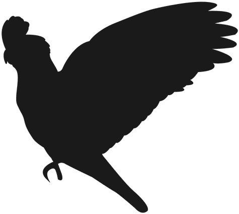 Parrot Silhouette - Parrot Silhouette (512x512)