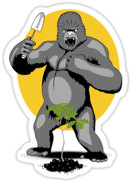 Banner Black And White Download Ape Clipart Guerilla - Gorilla Gardening (375x360)