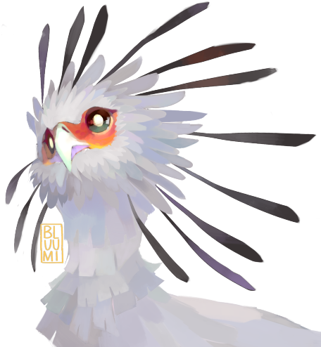 Clip Art Freeuse Download Cockatoo Drawing Face - Paint Tool Sai Watercolor Brush (500x508)