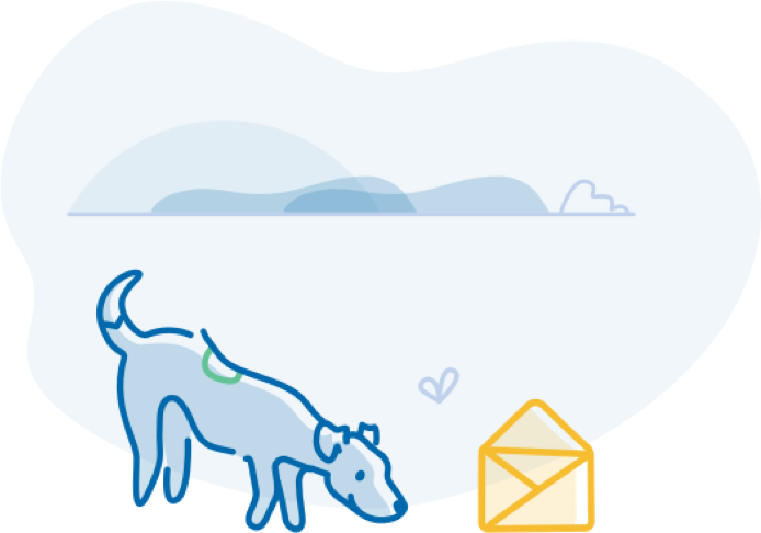 A Dog Looking At An Envelope - Ren's Pets Depot (694x486)