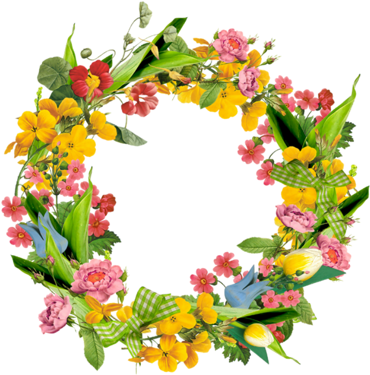 Фото, Автор Lar - Pierre-joseph Redoute Botanical Magnet (774x800)