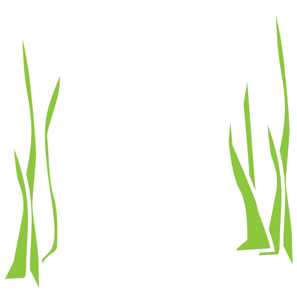 Gambar Rumput Laut Animasi (594x599)