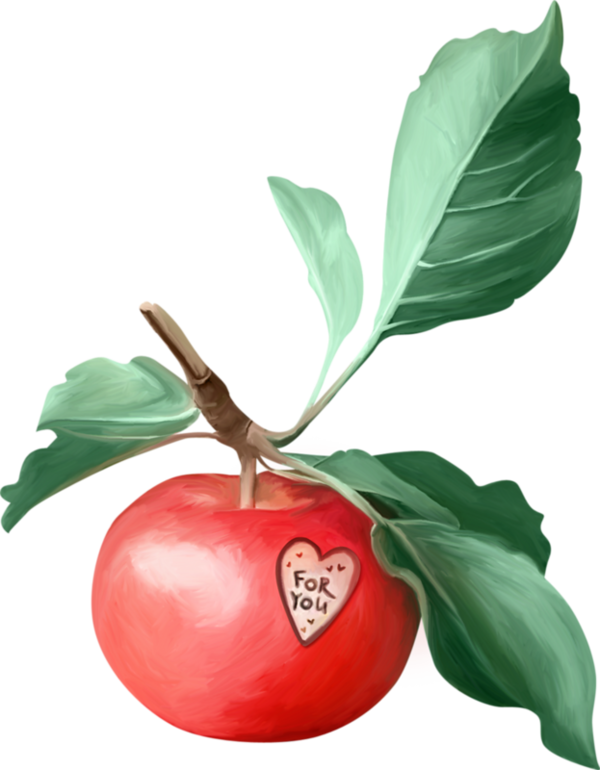 Apples, Clip Art, Fruit, Apple, Illustrations - .net (600x770)
