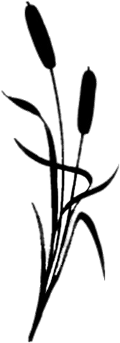 Reed Silhouette - Blume (500x500)