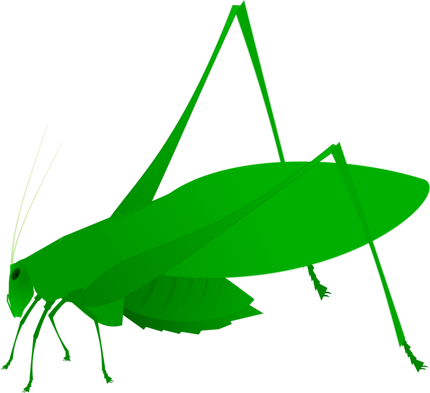 Military Clipart (841x768)