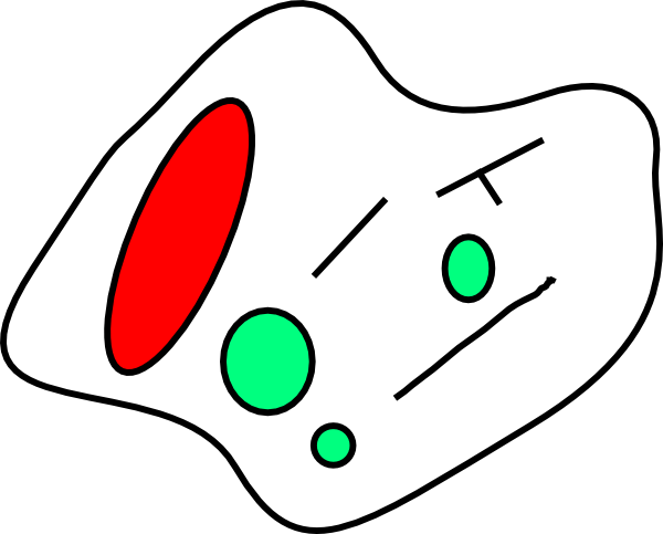 Nucleus 20clipart - Cell Nucleus (600x483)