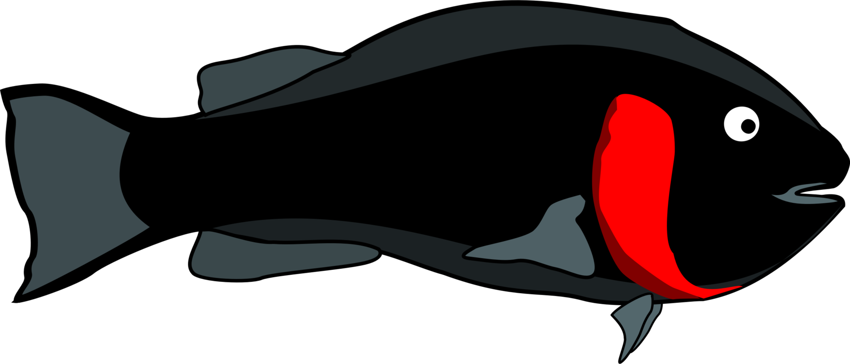 Fishing Swordfish Dolphin Silhouette - Custom Black Tropical Fish Shower Curtain (1751x750)