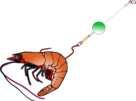 Fishing Baits & Lures Bait Fish Fish Hook - Fishing Bait Clip Art (455x340)