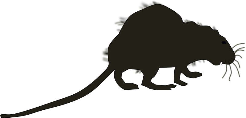 By Funwordplay - Marsupial (800x384)