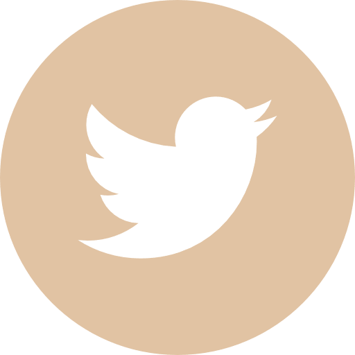 About - Twitter Logo In Circle (512x512)