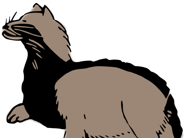 Claw Clipart Badger - European Badger (640x480)