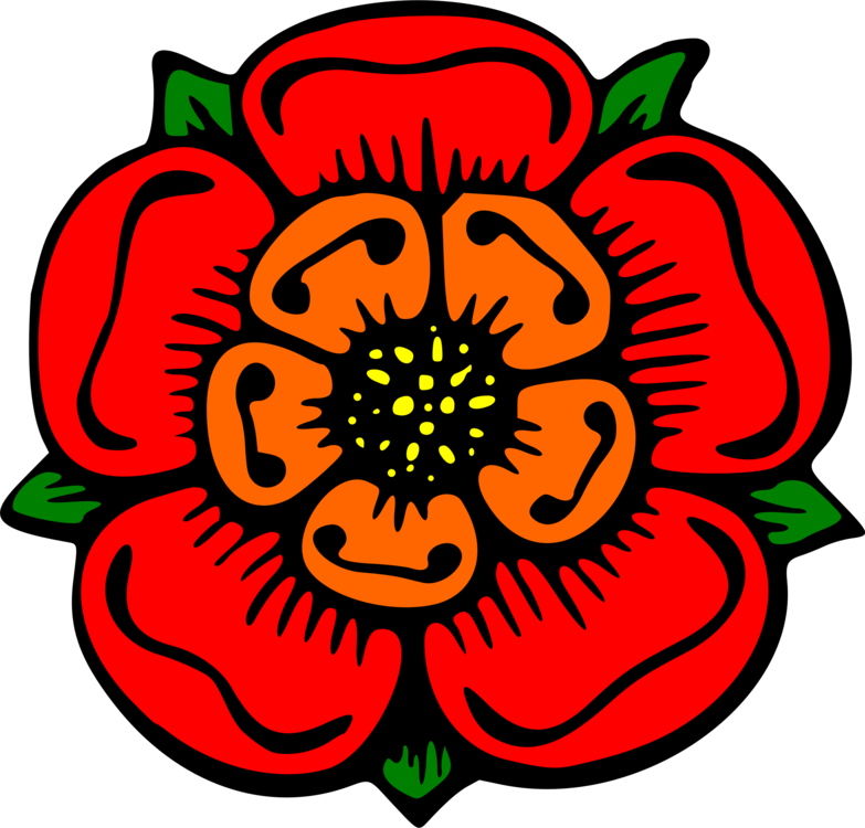 Flower Rose Drawing Color Description - Flower Drawing With Color (783x750)