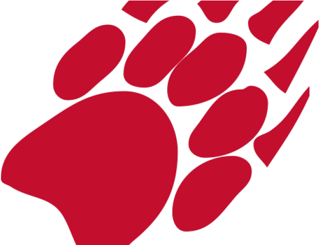 Badger Clipart Transparent - Uw Madison Badger Paw (640x480)