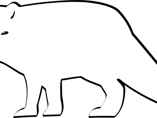 Polar Fox Clipart Outline - Fox (640x480)