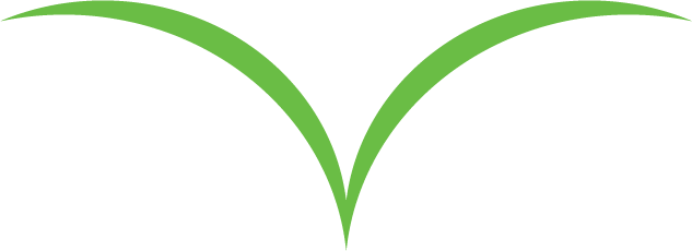 Technology - The Veloz Group (633x230)