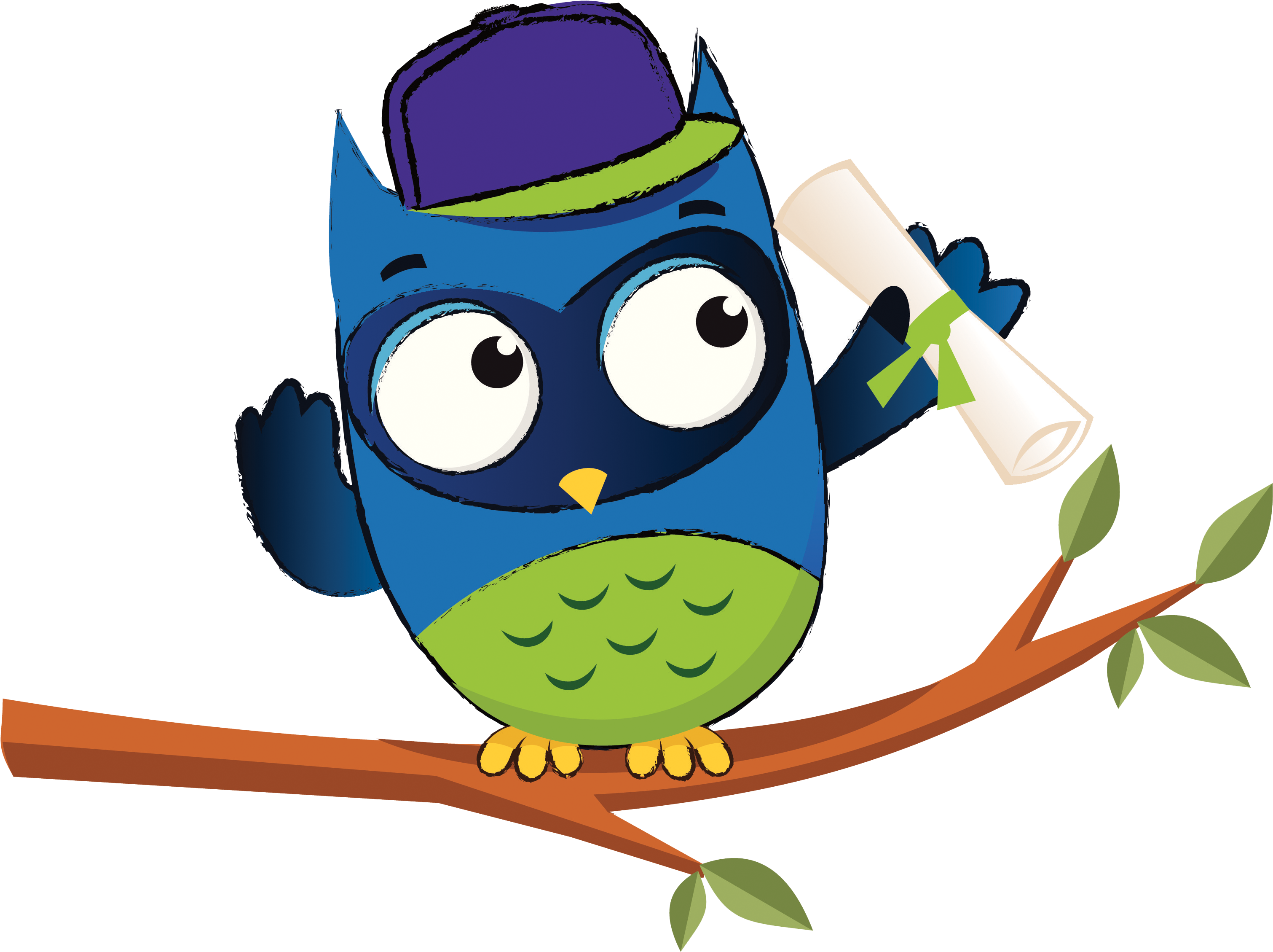 Natural Resources Wales' Education, Learning And Sector - Owl (3508x2480)