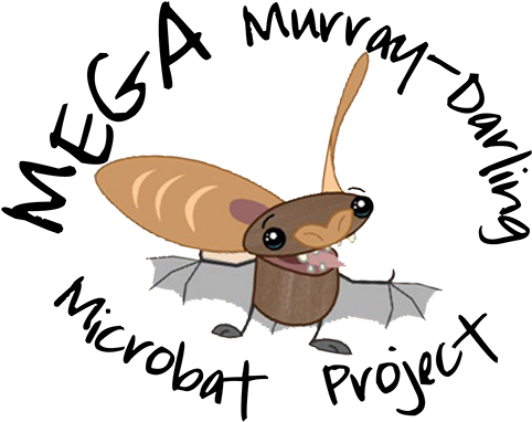 Mega Murray-darling Microbat Project - Darling River (501x400)
