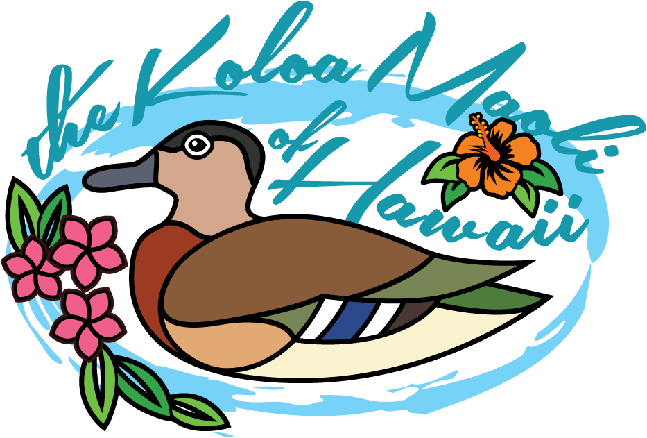 Graphic Design By Simon Hon For Dept - Illustration (1200x1000)