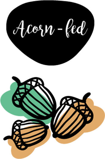 The Animal Feeds On Acorns And Other Natural Resources - Au Pair Life Women's Tees (500x600)