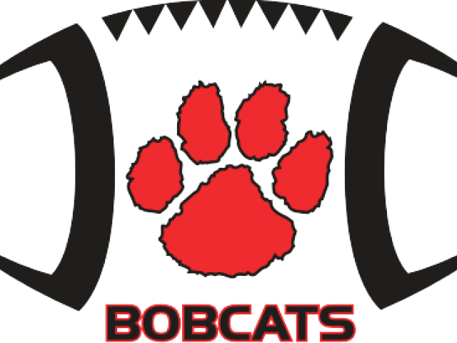 Jpg Transparent Stock 49ers Svg Silhouette - Green Paw Print (640x480)