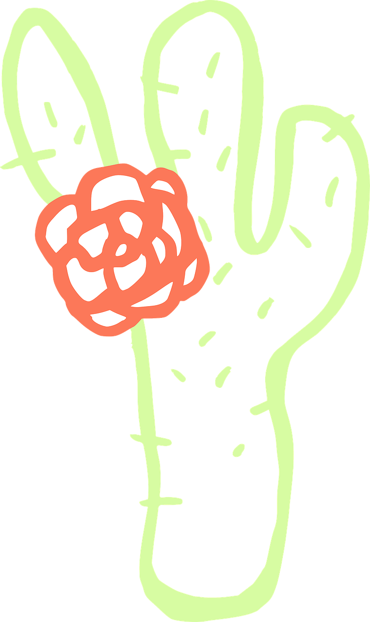 Cactus Saguaro Download Drawing - Cactus (763x1280)