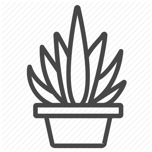 Cactus And By Siwat - Succulent Svg (512x512)