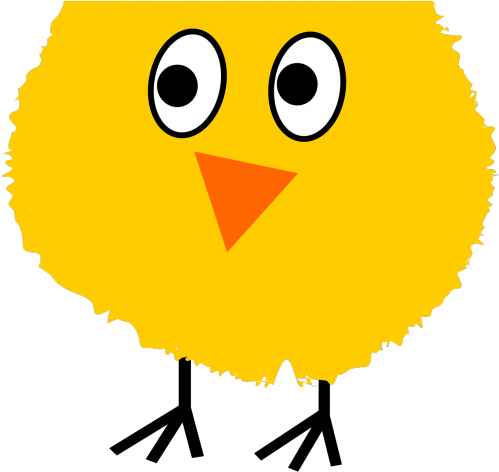 Chick Clipart Pollito - Pollo De La Granja De Zenon (640x480)