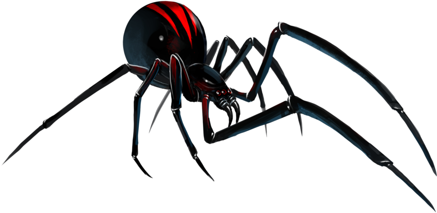Southern Portable Network - Black Widow Spider Teeth (1000x501)
