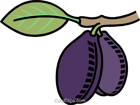 Plums Royalty Free Vector Clip Art Illustration Vc008831 - Plums Royalty Free Vector Clip Art Illustration Vc008831 (480x361)