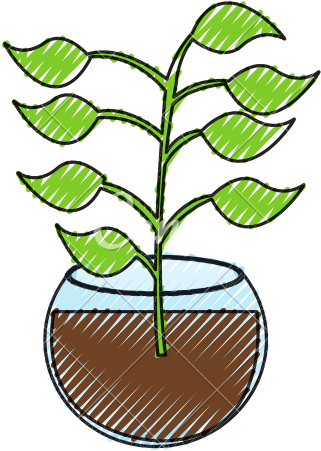 Aquarium Clipart Aquatic Plant - Illustration (550x550)