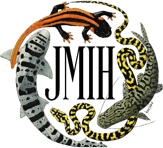 Matthew D - Jmih 2018 (527x478)