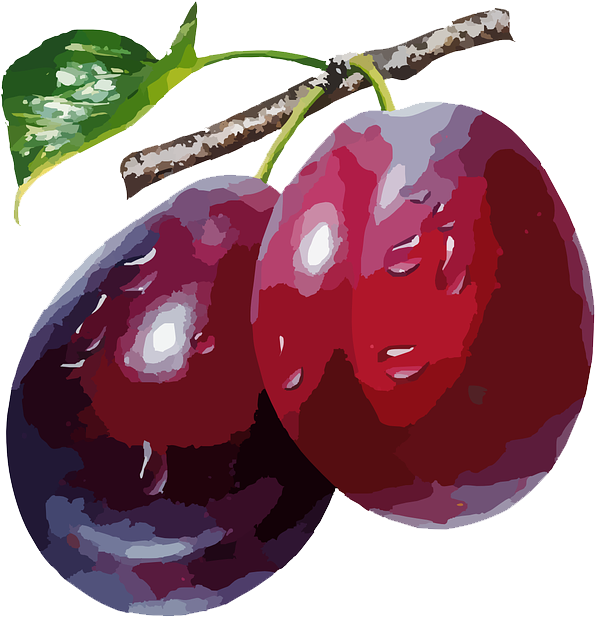 Plum - Plum Meaning In Urdu (960x720)