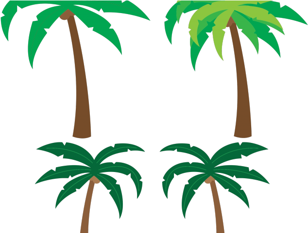 Palm Tree Clipart Cartoon - Palm Tree Animation Png (640x480)
