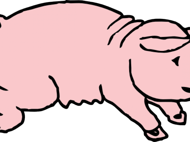 Original - Custom Cartoon Pig Throw Blanket (640x480)