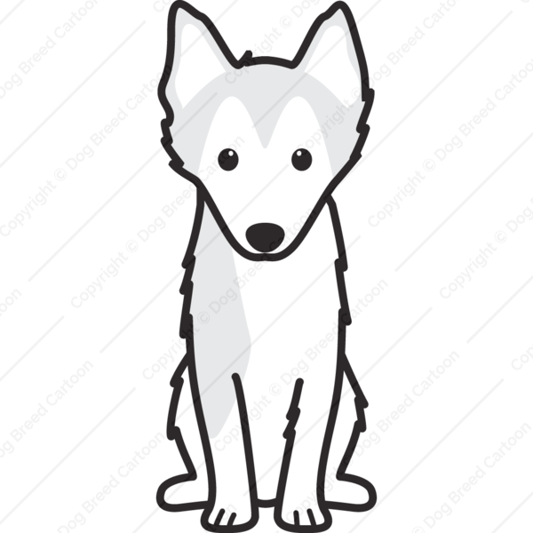 Alaskan Klee Kai - Dibujos De Perros Pastor Belga (600x600)