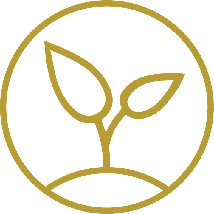 Pw Foundations Brochure - Rosa De Saron Horizonte (718x718)