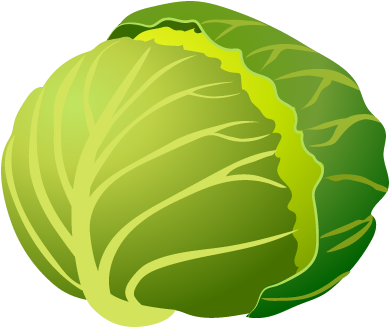 Clip Art Library Library Free Clip Art Image - Cabbage (480x480)