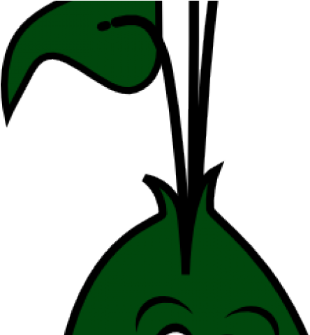 Beans Clipart Bean Sprout - Beans Clipart Bean Sprout (640x480)