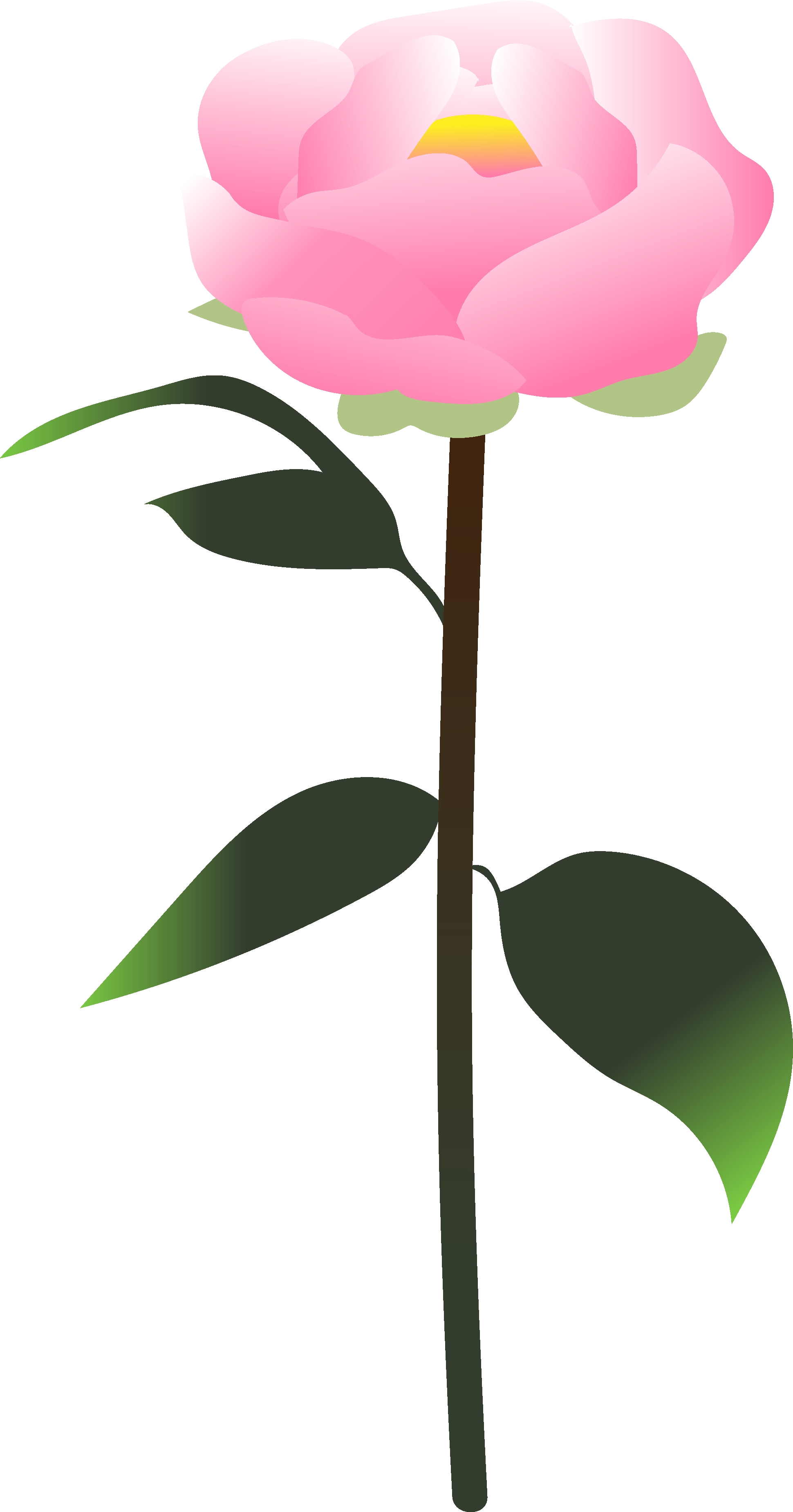You Created A Peony - Peony (1940x3697)
